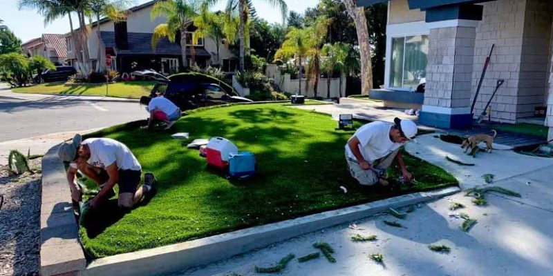 A team of skilled remodelers performing front yard improvement of a residential property